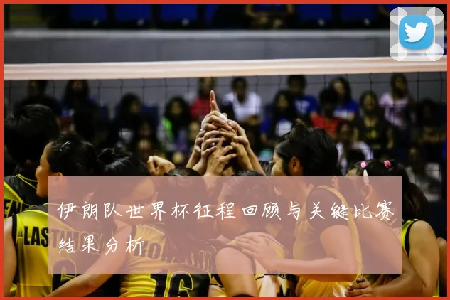 伊朗队世界杯征程回顾与关键比赛结果分析