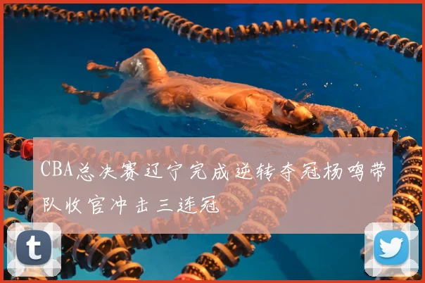 CBA总决赛辽宁完成逆转夺冠杨鸣带队收官冲击三连冠