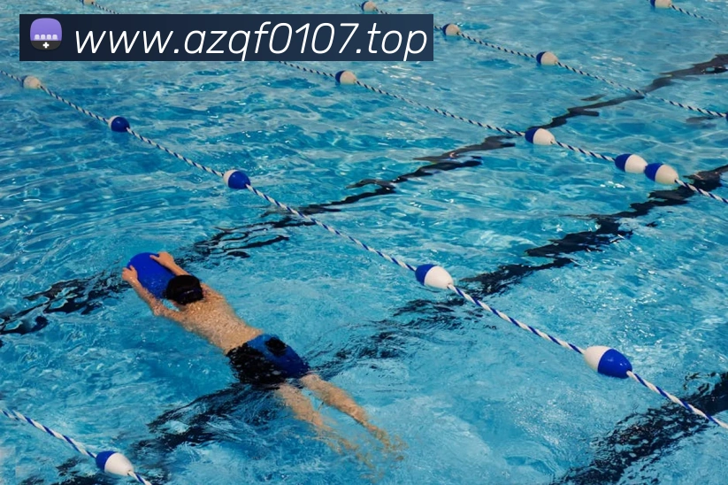 开云手机在线登陆入口平台生态图